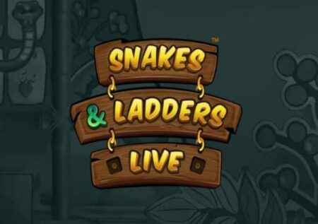 SNAKES AND LADDERS LIVE: HOW TO PLAY